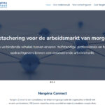 Detachering & consultancy